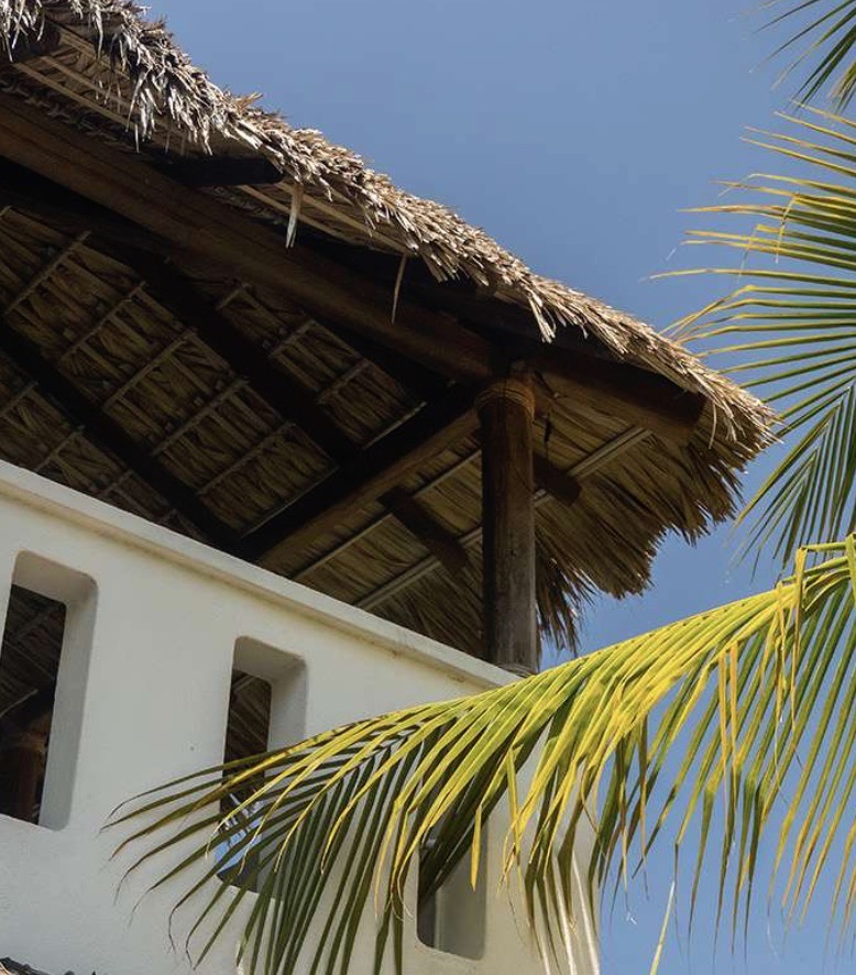 Casa Mandarina
